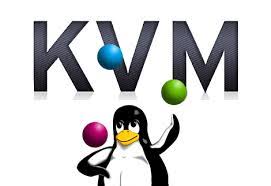 linux KVM Vps at Hostnetindia